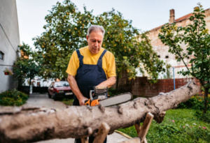 Tree Cutting
